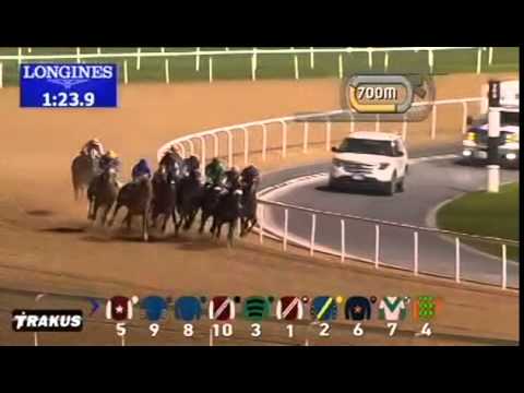15.01.2015 Meydan (Dubai/UAE) 2.Race Mina Al Hamriya - Handicap  2.000 m