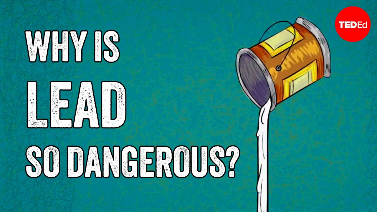 How lead affects your body - Gerald Markowitz and David Rosner