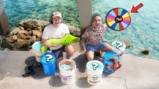 Catching EXOTIC MORAY EELS & FISH In BEACH TIDE POOL ROCKS! (Spin the Wheel Bait Challenge)