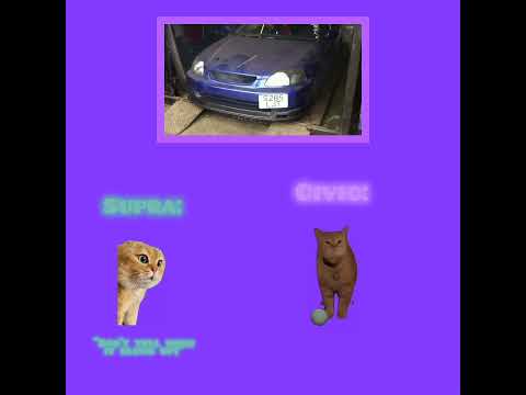 CAT MEMES 🐱 Siblings react to Honda Civic engine blows up video (Supra: It's just a video, brother!)