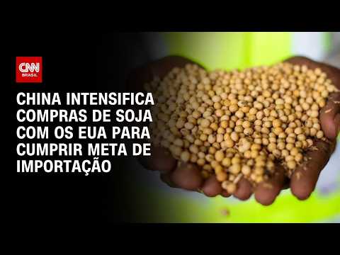 China compra mais soja dos EUA e se aproxima de meta de importação; entenda | CNN AGRO NEWS