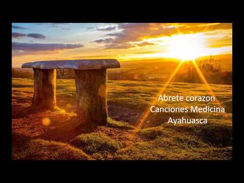 Canciones medicina-Alonso del Río y Diego Palma-Abrete corazon