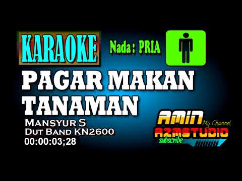 PAGAR MAKAN TANAMAN || Karaoke Nada Pria || Mansyur S