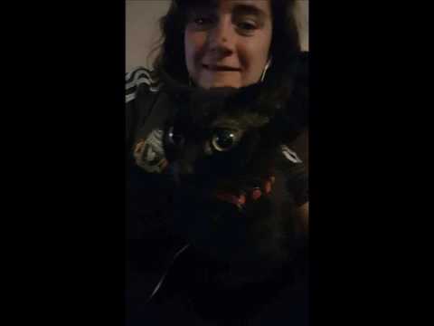 CHARLENE'S CATS AGAIN