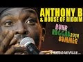 Anthony B & House Of Riddim - Reggae Gone Pon Top  @ Ruhr Reggae Summer 2014