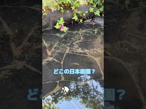 日本の禅庭：どうやって作るの？あなたのための5つのヒント！  庭園