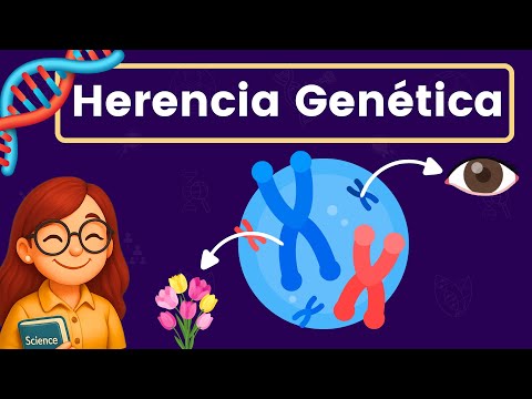 Introducción a la Herencia Genética 🧬🧑‍🧒‍🧒