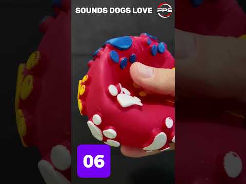 10 sounds that dogs love o hear the most #shorts #viral