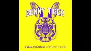Sharam Jey & Tapesh - Over Me! Bunny Tiger005