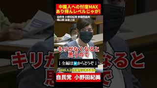 【自民党・小野田紀美】日本は法治国家じゃねぇんか！難民申請の裏で不法滞在？技能実習生の実態にも怒り！【2020年5月28日参議院法務委員会】