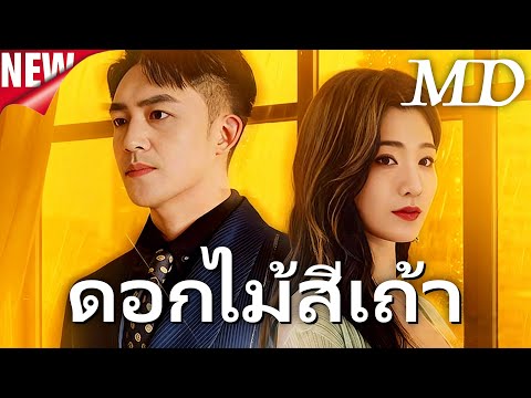 🔥ดอกไม้สีเถ้า丨ครบทุกตอน #ละครสั้น #dramabox