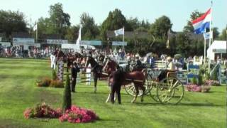 preview picture of video 'CH050 Tuigpaarden010 eenspannen, dames CH = Concours Hippique van Buitenpost'