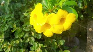 Lokasi spot mancing di daerah kampung terpencil