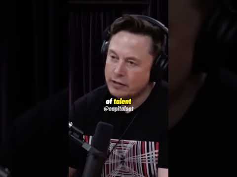 Elon Musk On Why You Should NOT Study Finance/Law