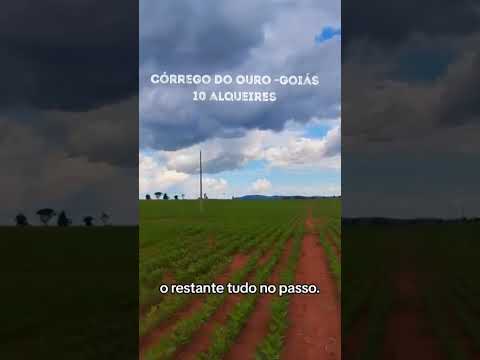 (62)9-8305-7960 - 10 alqueires, Córrego do Ouro-Go. #goias