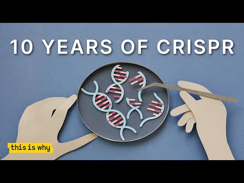 CRISPR DNA Editing Explained: Reimagining Human DNA