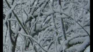 Roupa Nova - Noite Feliz (Silent night)