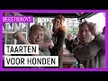 TAARTEN VOOR HONDEN | Extreme Animal Hobby's Beestieboys | NPO Zapp