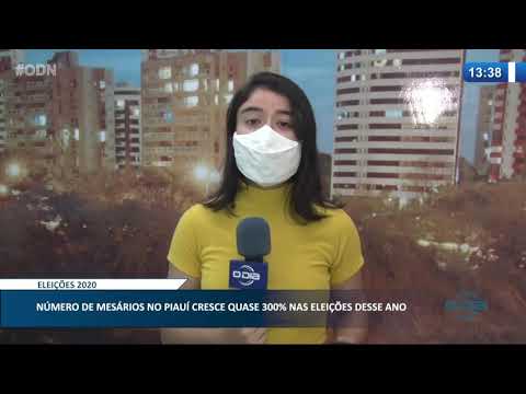 Número de mesários voluntários cresce quase 300% nestas eleições 11 11 2020
