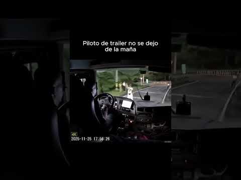 Se quedaron con las ganas, el chofer del trailer tuvo final feliz 😂