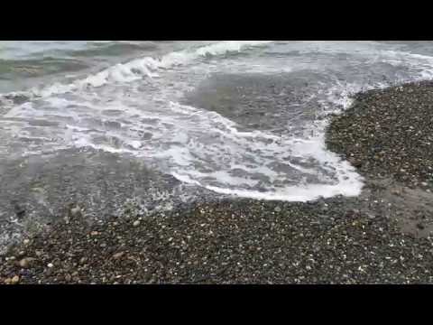 Beach cusps on Agate beach, Haida Gwaii