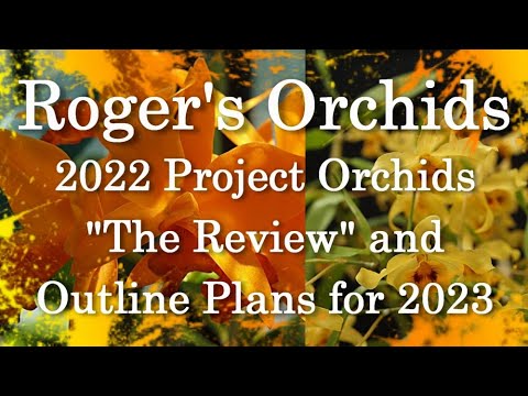 2022 Project Orchids - "The Review" and Outline Plans for 2023