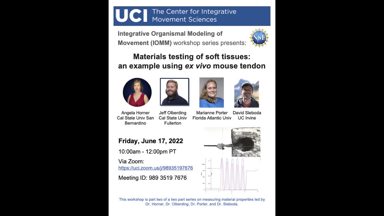 Materials Testing of Soft Tissues: An Example using Ex Vivo Mouse Tendon