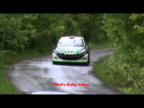 Davide Pighi IRC 2014