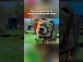 Slow This Down For An Emotional Minecraft Song Dennisthedog