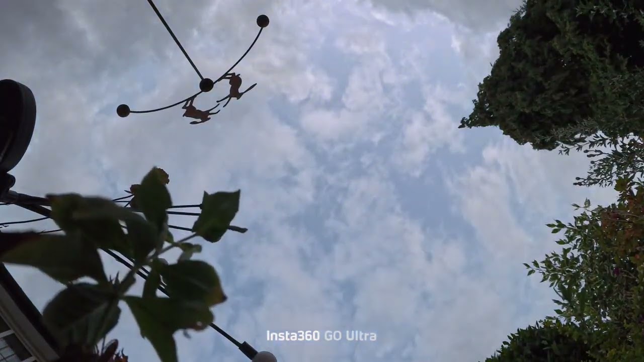 Insta360 Go Ultra — Dog Cam (Nutty's evening vlog) - YouTube