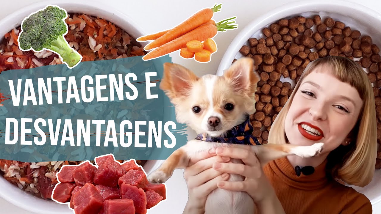 Alimentação natural para cães x ração