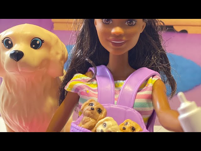 Vídeo relacionado con Barbie Perritos recién Nacidos Muñeca Rubia con Perrito y Accesorios de Juguete, Regalo para niñas y niños +3 años (Mattel HCK75)