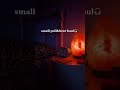 Pull Bear Haul Tiktok 1ovelifee