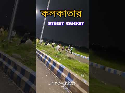 Street Cricket in Kolkata: কলকাতা শহরের রাস্তায় চলছে ক্রিকেট খেলা। #cricket #streetcricket #kolkata