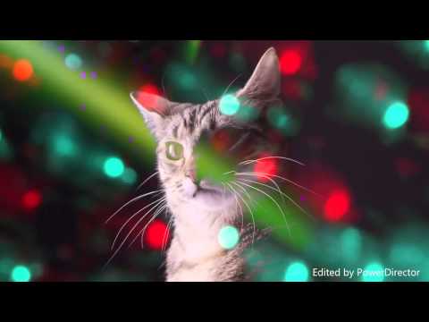 Meow Mix(DubStep Version) _GROUNDSCORE MUSIC_