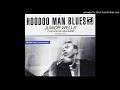 Junior Wells - Hound Dog