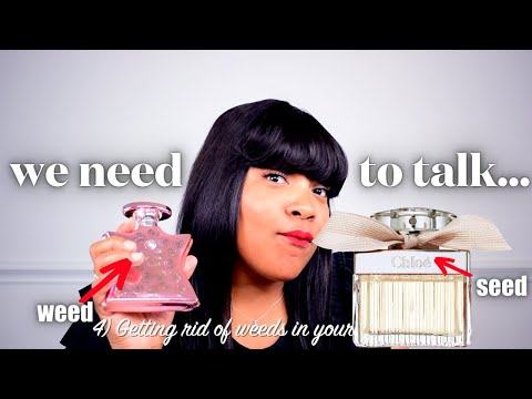 🤑Once I figured this out, my Perfume Collection TRANSFORMED!