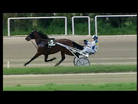 Napoli Trotto 12/03/2021 - 1ª corsa