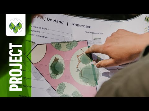 Groene schoolpleinen voor gro-up | PROJECT UITGELICHT