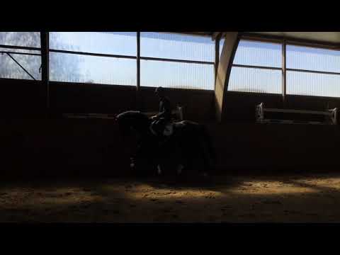 Quibery — Cassini I