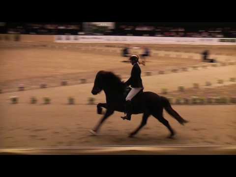 Gletting vom Kronshof, OD15V1