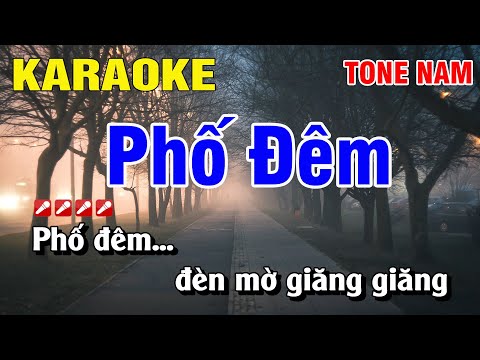 Karaoke Phố Đêm Tone Nam Nhạc Sống | Karaoke Hoàng Luân