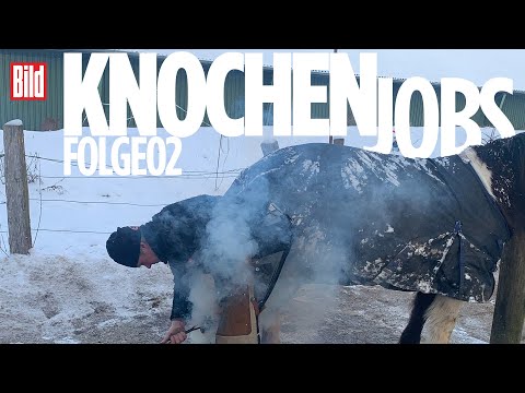 Knochenjobs: Hufschmied – Mit Muskelkraft und Köpfchen | Folge 2 | Doku