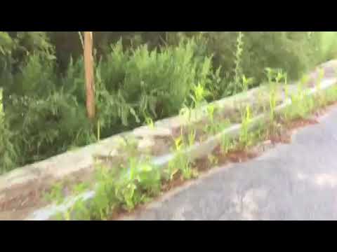 Westdale Road, Holbrook MA