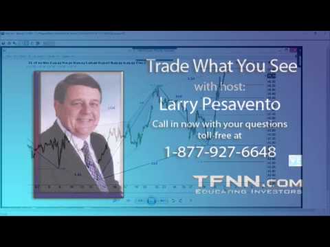 December 1st Trade What You See with Larry Pesavento on TFNN