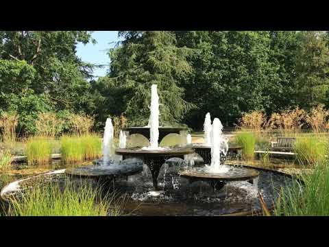 ケンブリッジクレーンズビル 植物