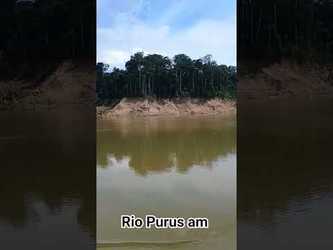 Rio Purus am próximo a cidade de Tapauá