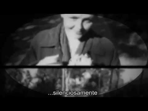 David J.Roch - Skin & Bones - Official Video - Subtitulado al español