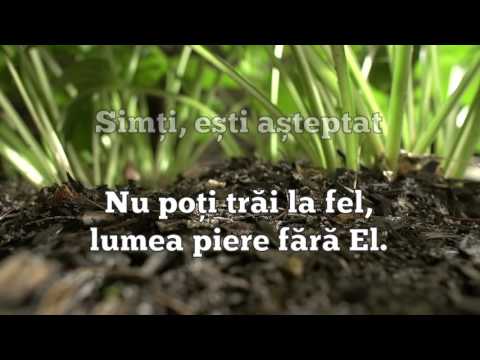 Spune DA - Imnul Impact | Karaoke