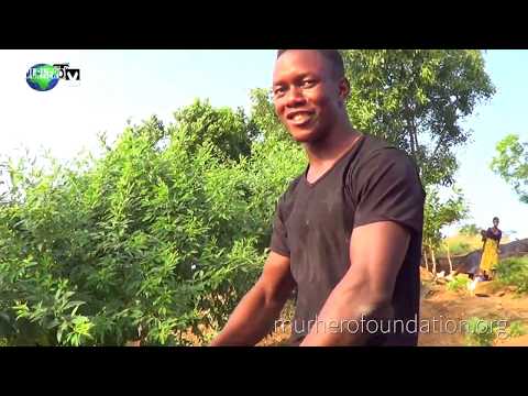 Hiking in Africa Sierra Leone || See Freetown's Best View on a mountain